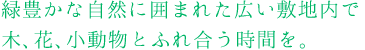 緑豊かな自然に囲まれた広い敷地内で
木、花、小動物とふれ合う時間を。