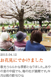 桜の下でお花見をする入居者たち。春の季節行事の様子が写されている。